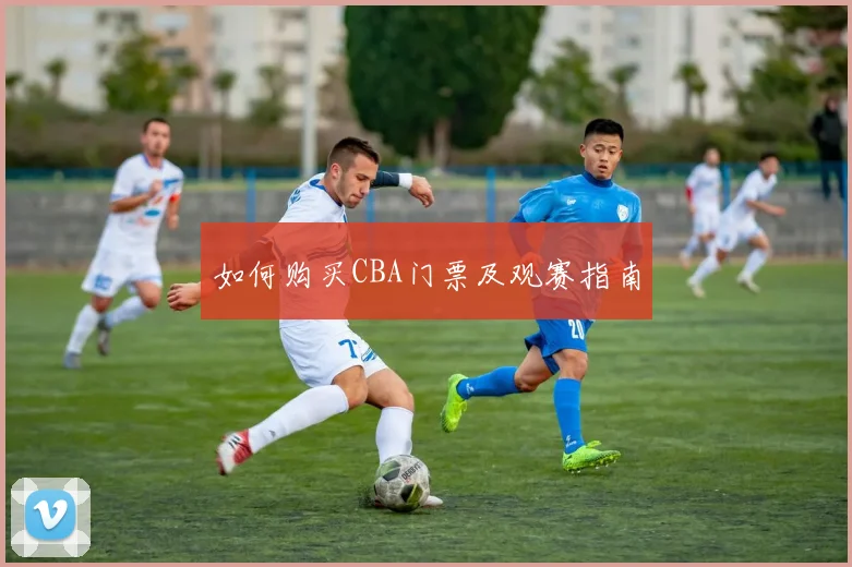 如何购买CBA门票及观赛指南