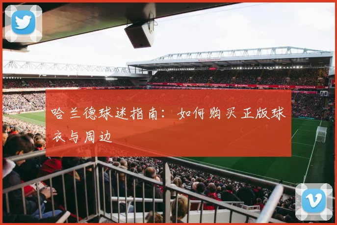 哈兰德球迷指南:如何购买正版球衣与周边